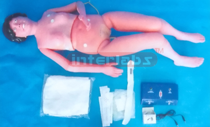 NATURAL BASIC PATIENT CARE MANIKIN (INSIDE GENERAL BATTERY)